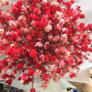 bó hoa baby vintage Đỏ