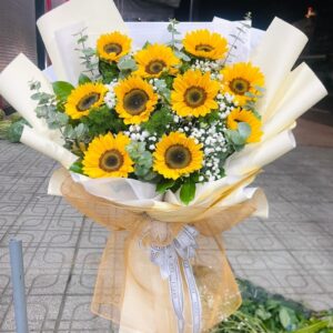 hoa hướng dương