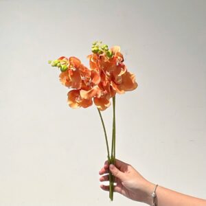 bó hoa lan tối giản cam