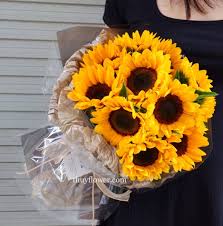 bó hoa hướng dương tối giản vàng