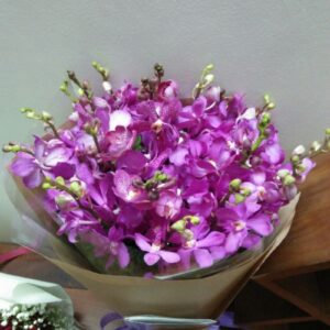 bó hoa lan hiện Đại hồng