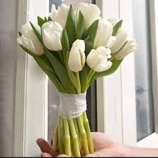 bó hoa tulip vintage trắng