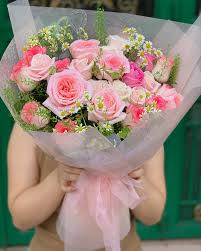 bó hoa hồng hàn quốc hồng