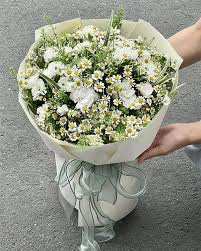 bó hoa cẩm chướng vintage trắng